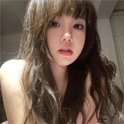 哈兰·科本的庇护所封面